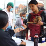 159 animales de compañía, fueron beneficiados de las jornadas de bienestar animal